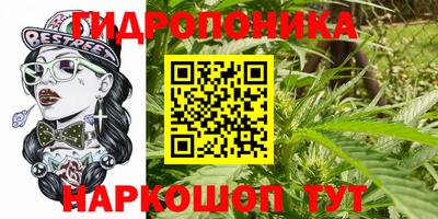 прущая мука Ачхой-Мартан