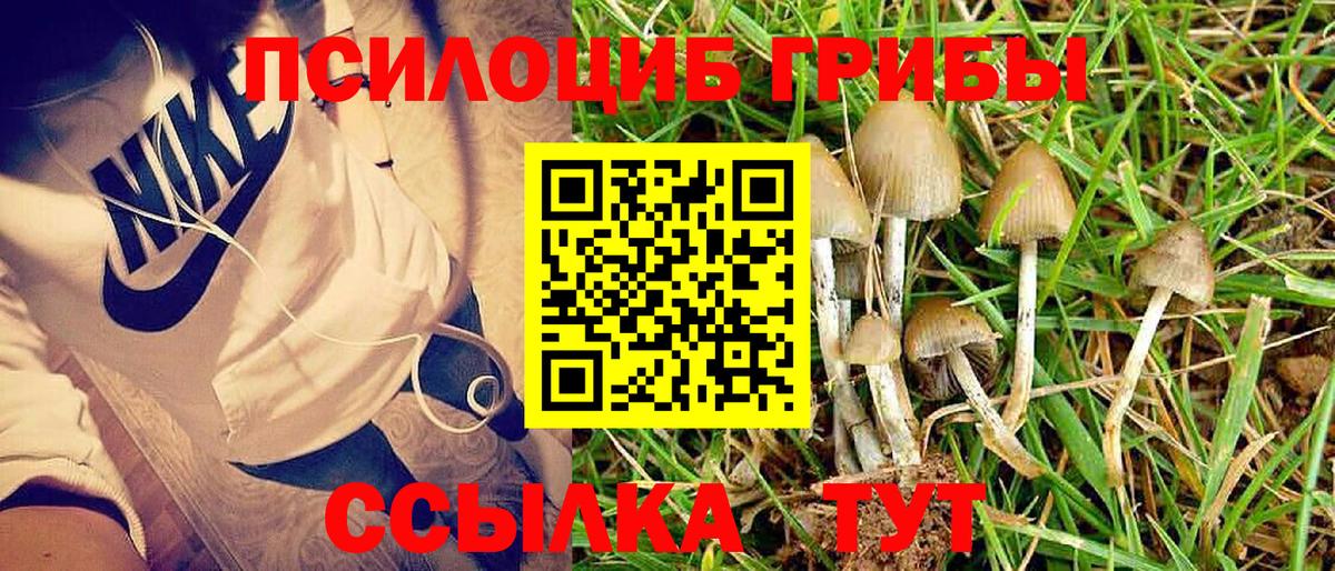 Галлюциногенные грибы Magic Shrooms Кирово-Чепецк