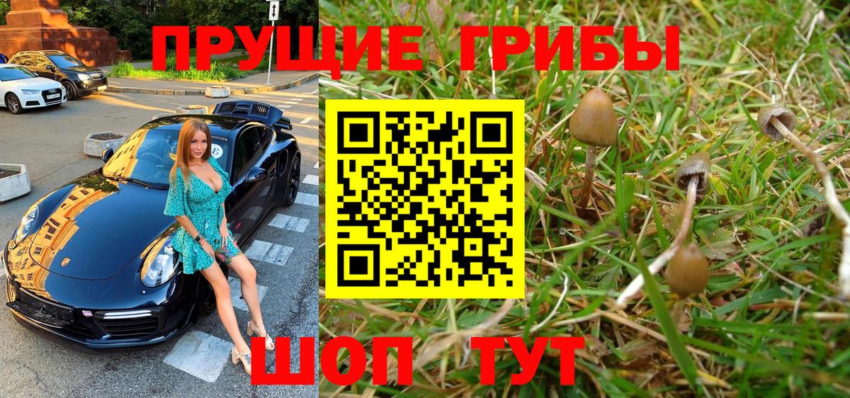 Псилоцибиновые грибы Psilocybe  Вход с VPN  Кирово-Чепецк 